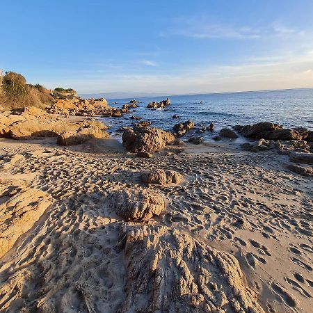 Cosyseaside Corsica Ajaccio Piscine Terrasse Mer Dış mekan fotoğraf